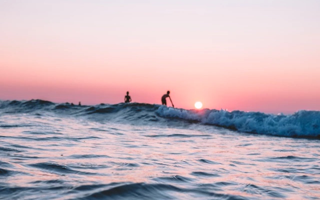 Pair of silhouetted surfers enjoying waves at sunset